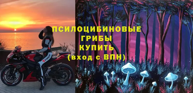 Галлюциногенные грибы MAGIC MUSHROOMS  наркота  сайты даркнета какой сайт  Саки  ОМГ ОМГ вход 